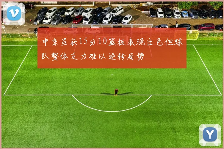 申京虽获15分10篮板表现出色但球队整体乏力难以逆转局势