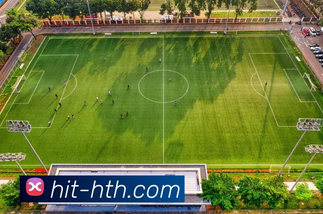 hth体育平台生态图