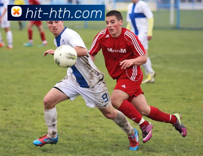 hth体育APP 高清赛事图